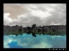 05_amazon_reflections.jpg