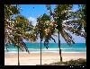 09_ne_brazil.jpg
