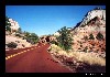 10_zion2.jpg