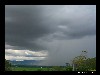 21_tropical_rain.jpg